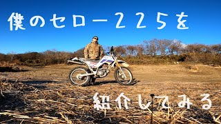 【三河 林道】僕のセロー225を紹介してみる【愛車紹介】（セロー225 マフラー音） [upl. by Zobe128]