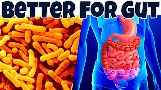 Why You Need More BIFIDOBACTERIA For Your Gut  BEST BACTERIA to Improve Your Gut Health [upl. by Aurora]