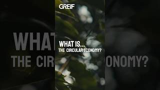 What is the Circular Economy sustainability topics themoreyouknow answeringyourquestions [upl. by Nauqaj]