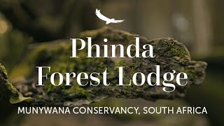 Phinda Forest Lodge  Munywana Conservancy  South Africa [upl. by Llezom]