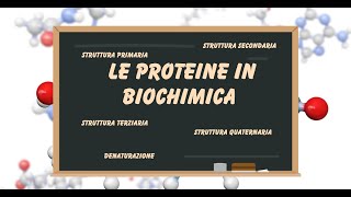 Le biomolecole le proteine struttura primaria secondariaterziariaquaternaria [upl. by Vanzant816]