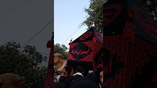 Amariyo ka jalos shahadat Imam Hassan Askari as markazi jalos g62 Imambargah Islamabad azadari [upl. by Sreip]