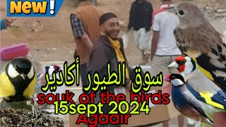 سوق الطيور أكادير ليوم الأحد 15sept2024دائما مع الجديد 🔥 حصريا على قناتكم [upl. by Siloa493]