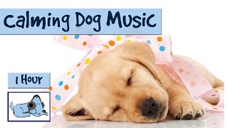 1 Hour of Calming Music for Dogs [upl. by Zollie803]