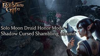 Solo Moon Druid Shadow Cursed Shambling Mound Honor Run [upl. by Notyalk]