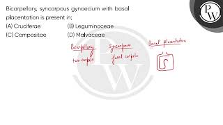 Bicarpellary syncarpous gynoecium with basal placentation is present in [upl. by Mowbray]