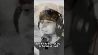 NO ES UNA MANCHA DE HUMEDAD cliptwitch argentina arg perro twitch [upl. by Galitea177]