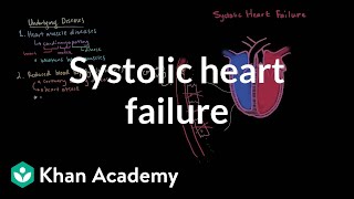 Systolic heart failure pathophysiology  Circulatory System and Disease  NCLEXRN  Khan Academy [upl. by Rtoip]