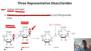 Biochemistry Lecture 3 [upl. by Cobb]