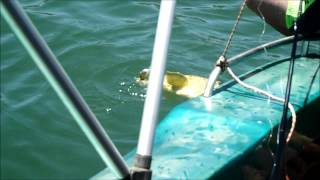 Fishing at Taung Dam [upl. by Constantia]