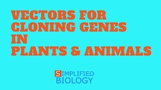 VECTORS FOR CLONING GENES IN PLANTS AND ANIMALS for NEET AIIMS AIPMT MCAT JIPMER PREMED [upl. by Audrye]