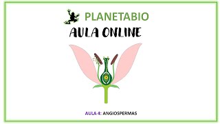 Aula 4 online do dia 25 de julho As Angiospermas [upl. by Leivad643]