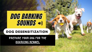 Desensitizing Sounds for dogs  BARKING SOUNDS  How to prepare your dog for boarding kennel [upl. by Emya556]