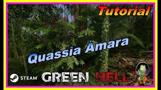 Para que sirve la planta quotQuassia Amaraquot en Green Hell 🌴 Tutorial 2023 [upl. by Adniroc368]