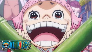 The Truth of SMILE  One Piece [upl. by Cesaria]