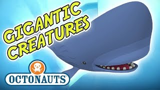 Octonauts  Its Halloween Month  Gigantic Creatures [upl. by Dituri28]