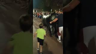 Encierro de toros ecológico shorts niños disfrutando de los toros 🐂 toro de la vega sin heridas [upl. by Moht]