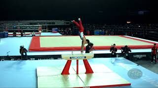 KAMEYAMA Kohei JPN  2017 Artistic Worlds Montréal CAN  Qualifications Pommel Horse [upl. by Kassaraba]