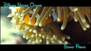 Disney Nature Series Oceans trailer  Stand Proud [upl. by Nonnek]