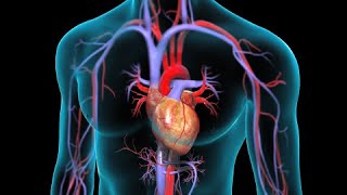 Aortic Valve Replacement [upl. by Noerb]