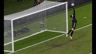 Thibout Courtois Vs Brasil  All Saves  World Of Cup 2018 [upl. by Ernie614]