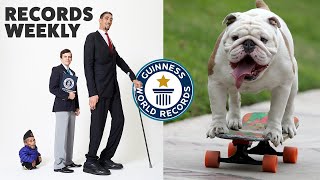 Tallest Meets Shortest and Skateboarding Bulldogs  Records Weekly  Guinness World Records [upl. by Varick]