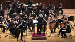 J Sibelius Violin Concerto in D minor op 47 III Allegro ma non tanto arr by D Bouriakov [upl. by Morlee]