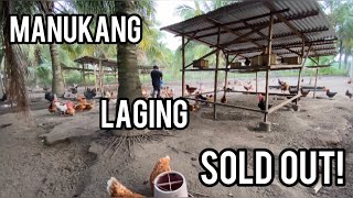 MANUKANG LAGING SOLD OUT [upl. by Olbap]