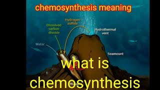 chemosynthesis  chemosynthesis definition chemosynthesis in hindi chemosynthesis [upl. by Enorel664]