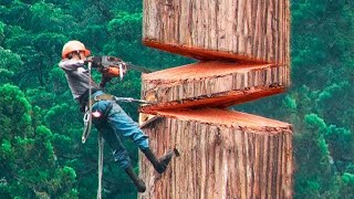 SATISFYING VIDEOS OF WORKERS WHO DO THEIR JOB PERFECTLY [upl. by Eniamerej]