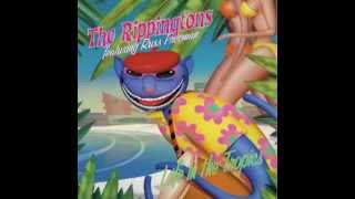 Caribbean Breeze  The Rippingtons [upl. by Lidia747]