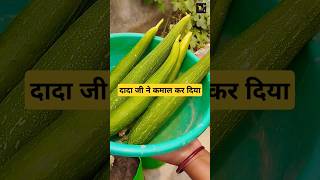 दादा जी का कमाल garden experiment explore agriculture plants viral vegetable plants shorts [upl. by Kho226]