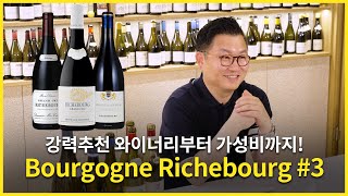 Engsub Richebourg the core region of Burgundy VosneRomaneeRichebourg 3편 [upl. by Sedruol]