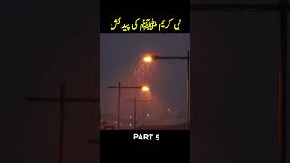 Hazrat Mohammad SAW Ki Paidaish Ka Qissa  Part 5 [upl. by Noira800]