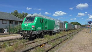 RheintalUmleiter 001 mit DIESELPOWER 2024 in Lauterbourg [upl. by Eelan]