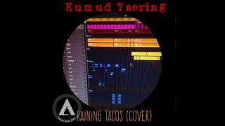 Raining Tacos Metal Cover [upl. by Arries]