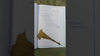 🌷Herbarium sheet🌷viralvideo kathika minivlog pleasesubscribe [upl. by Lleznod12]