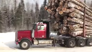 The biggest wood load you will ever see [upl. by Ivett]