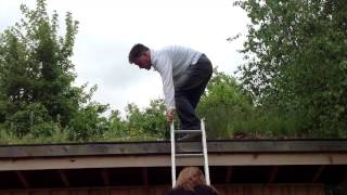 Pre Development hydrology on a green roof [upl. by Hocker]