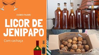 JENIPAPO  fruta nativa que apresenta vários benefícios para a Saúde [upl. by Renie295]