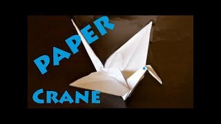 How to Make a Paper Crane Origami  Robs World [upl. by Ailemak]