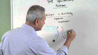 Immunology lecture 15  Type III Hypersensitivity Reactions 16 [upl. by Enitsuj]