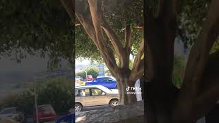 Agios Nikolaos Crete Greece Summer in Europe Vlog August 2023 [upl. by Annaig252]