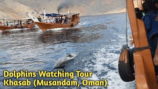 Amazing Dolphin Watching Tour Khasab Musandam Oman [upl. by Nyrem]