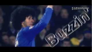 Marouane Fellaini  The Afro Man  Skills amp Goals  2012 [upl. by Herwig]