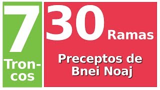 Bnei Noaj  7 troncos 30 ramas preceptos de Bnei Noaj [upl. by Ri]