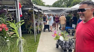 Redland International Orchid Festival 2023 Biggest and Greatest VIP Day Lots of Great Orchids [upl. by Zonnya]