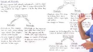 Autotrophs and Heterotrophs [upl. by Hoxsie58]