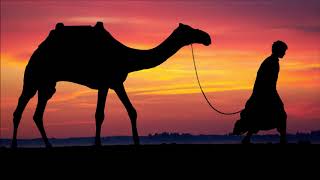 Bob Zopp  Alcazaba Cafe De Anatolia Camel [upl. by Fortune]