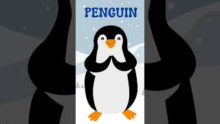 Amazing Animals for KidsFun Facts amp Learning About Animals  Animals of the World  PENGUIN [upl. by Talia452]